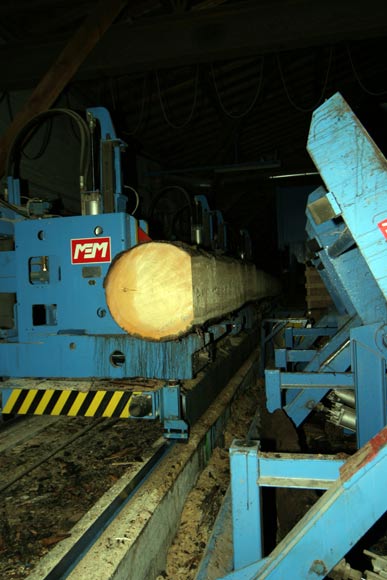 PASCAL MOSSAZ, sawmill in Haute-Savoie (74)