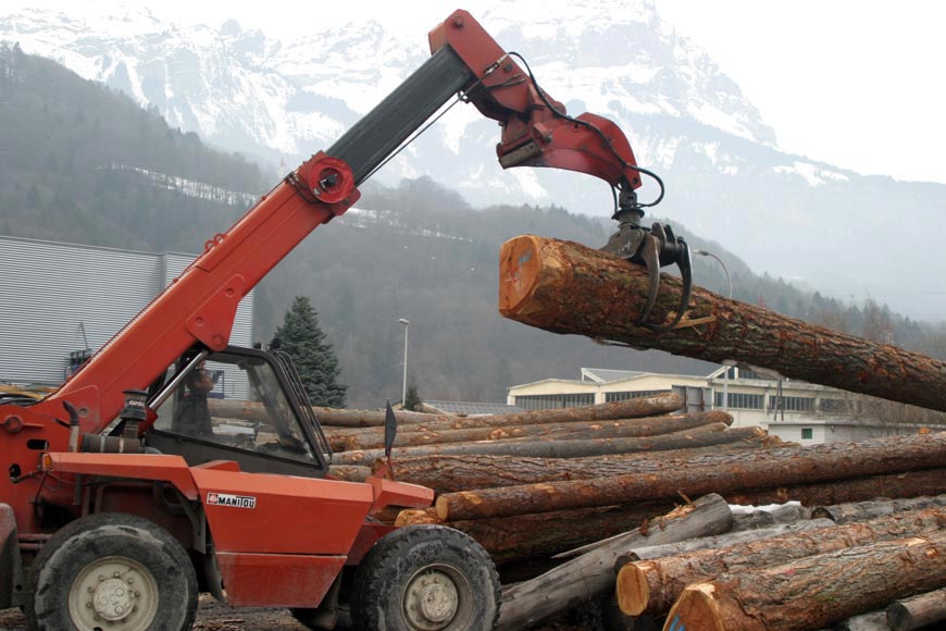 PASCAL MOSSAZ, scierie en Haute-Savoie (74)