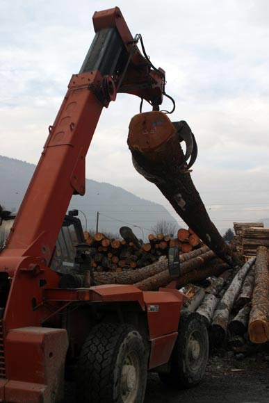 PASCAL MOSSAZ, sawmill in Haute-Savoie (74)