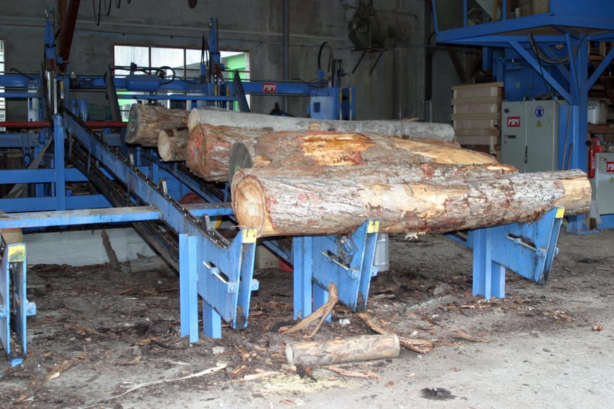 PASCAL MOSSAZ, sawmill in Haute-Savoie (74)